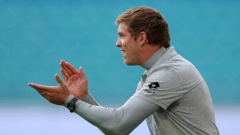 Julian Nagelsmann sollte eigentlich erst nächste Saison Trainer werden
