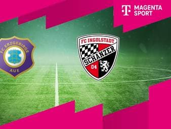 Erzgebirge Aue - FC Ingolstadt 04: Tore und Highlights | 3. Liga