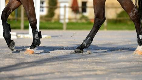 Bormann gewinnt Springreit-DM