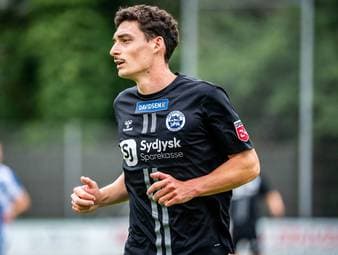 Kuriose Kartoffel-Prämie geht um die Welt