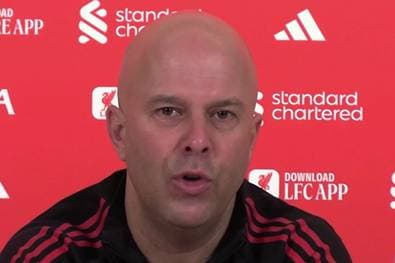 "Es wird ein Leben ohne Virgil geben"