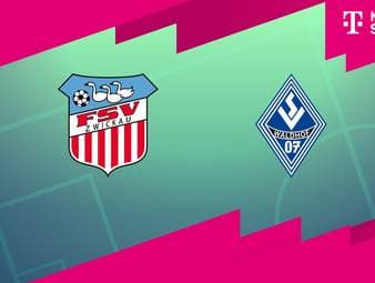 FSV Zwickau - SV Waldhof Mannheim: Tore und Highlights | 3. Liga