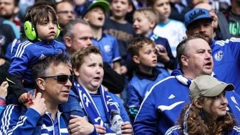 FC Schalke 04 v VfL Wolfsburg - Bundesliga