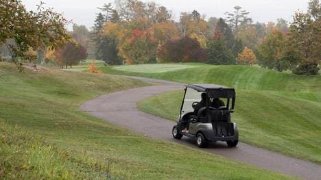 Bei einem Sturz aus einem Golf-Cart kam ein Mensch ums Leben