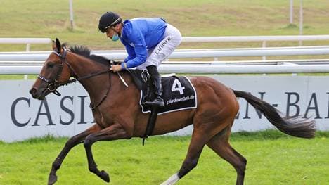 Salonlove sorgte beim Junioren-Preis in Düsseldorf für eine Überraschung