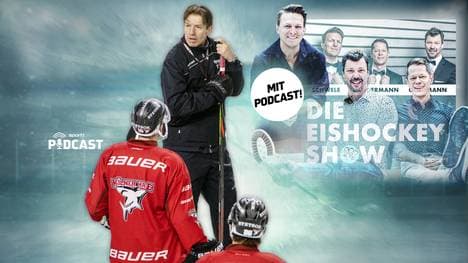 Uwe Krupp spricht über seine neue Aufgabe bei den Kölner Haien