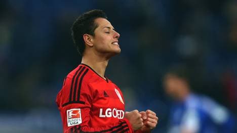 FC Schalke 04 v Bayer Leverkusen - Bundesliga