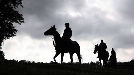 Im deutschen Reitsport ist es zu einem tragischen Todesfall gekommen