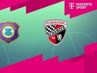 FC Erzgebirge Aue - FC Ingolstadt 04: Tore und Highlights | 3. Liga