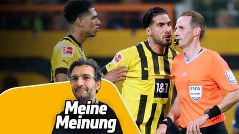 Zuletzt stand Bundesliga-Schiedsrichter Sascha Stegemann (r.) im Kreuzfeuer der Kritik