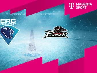 ERC Ingolstadt - Augsburger Panther: Tore und Highlights | PENNY DEL