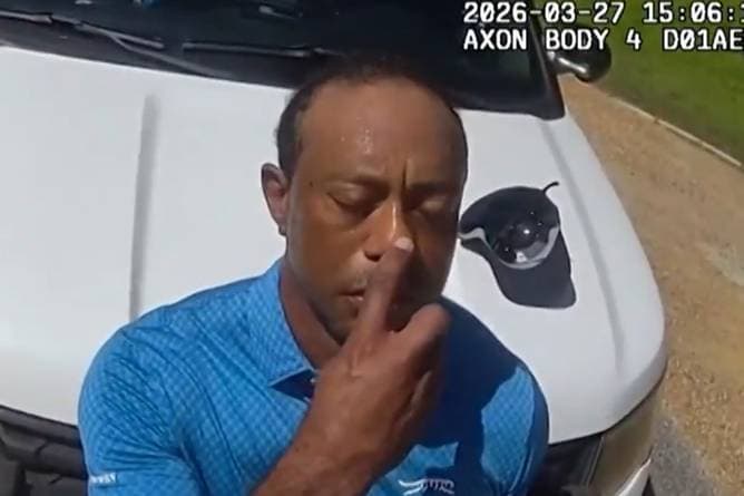 Nach Unfall: Golf-Stars leiden mit "Held" Woods