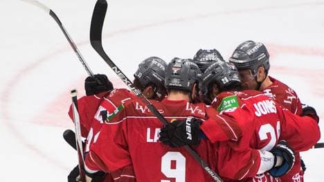 Koelner Haie v Straubing Tigers - DEL