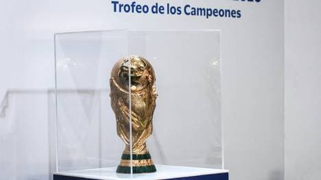 Das Objekt der Begierde: Der WM-Pokal