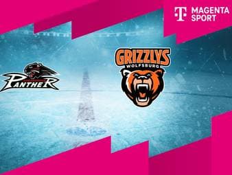Augsburger Panther - Grizzlys Wolfsburg: Tore und Highlights | PENNY DEL