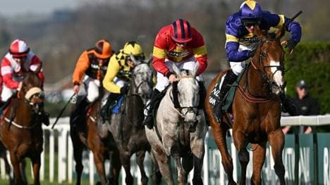 Heftige Proteste beim Grand National