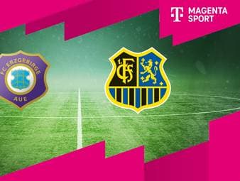 Erzgebirge Aue - 1. FC Saarbrücken: Tore und Highlights | 3. Liga