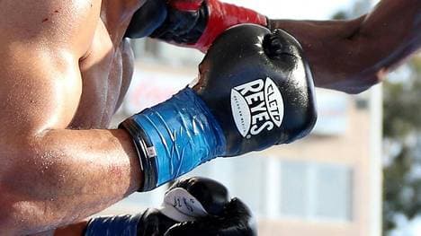 Kabayel-Kampf in Magdeburg von Schlägerei überschattet