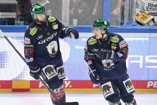 Eisbären-Held bleibt bescheiden