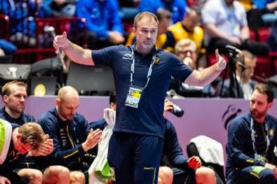 EM-Coach empört Experten