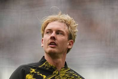 Brandt lässt tief blicken