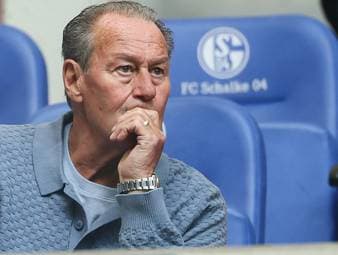 Stevens sieht Schalke noch nicht bundesligareif