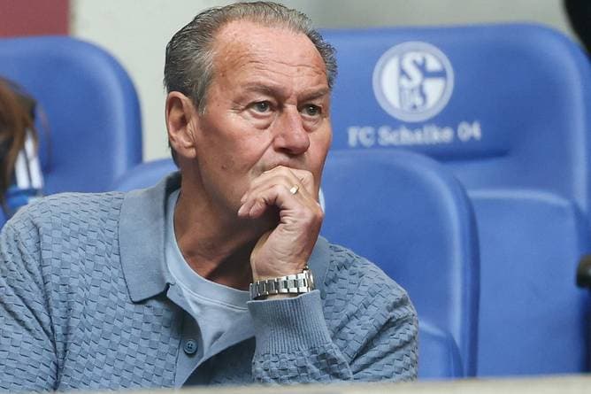 Stevens sieht Schalke noch nicht bundesligareif