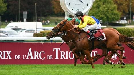 Torquator Tasso enttäuscht in Iffezheim