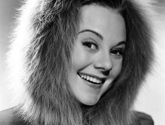 Eine verehrte und verachtete Ikone