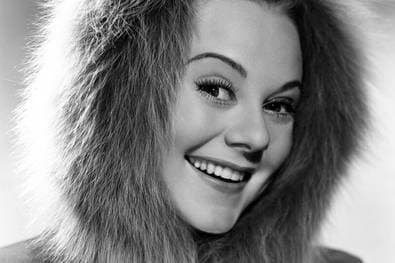 Eine Eis-Ikone, die verehrt und verachtet wurde