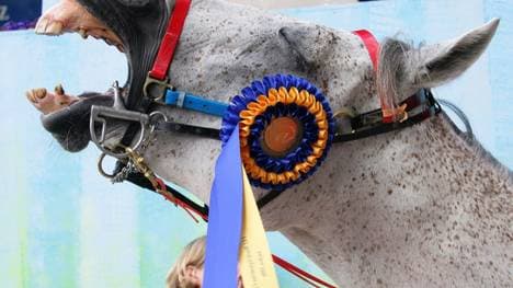 Die Sunshine Tour musste abgebrochen werden