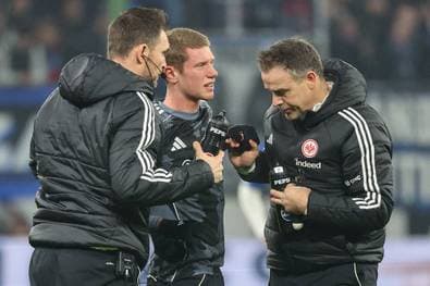 Frankfurt verkündet Baum-Diagnose