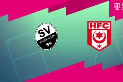 SV Sandhausen - Hallescher FC (Highlights)