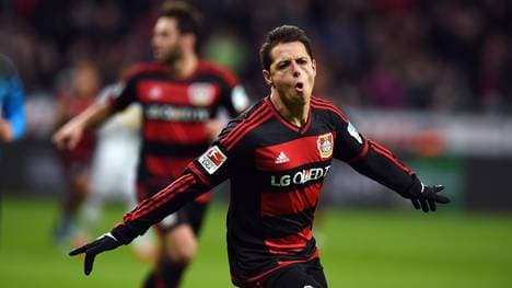 Chicharito schlug in Leverkusen voll ein