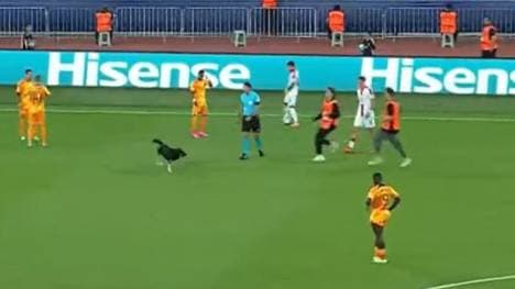 Ein Hund sorgt bei der U21-EM für eine kuriose Unterbrechung