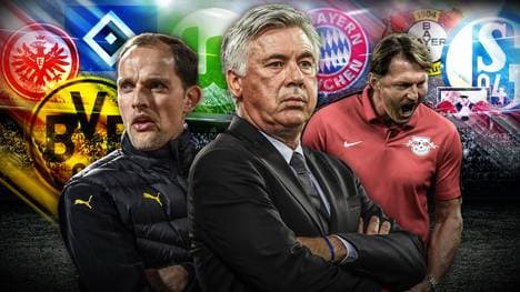 Tuchel Ancelotti und Hasenhüttl