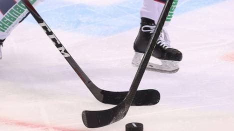 Cam Brace wechselt zu den Frankfurter Löwen