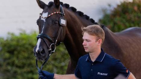 Raphael Netz und Camelot