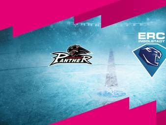 Augsburger Panther - ERC Ingolstadt: Tore und Highlights | PENNY DEL