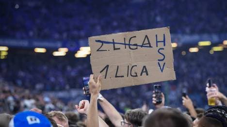 Die HSV-Fans feiern den Aufstieg in die Bundesliga