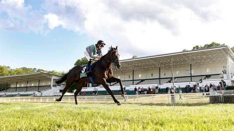 Spexarder Erfolgstrainer Andreas Wöhler nominiert das Pferd Soul Train mit Reiter Bauyrzhan Murzabayev nach