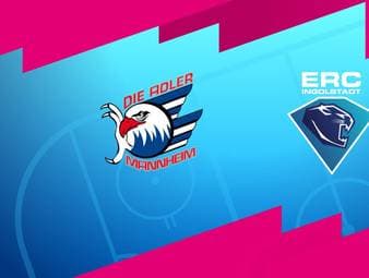 Adler Mannheim - ERC Ingolstadt: Tore und Highlights | PENNY DEL