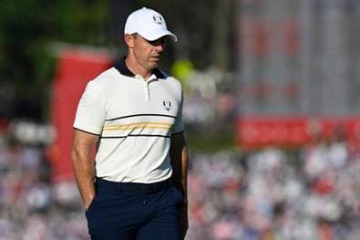 "Ich wünschte, sie hätten die Hunde losgelassen"