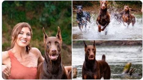 Hope Solo trauert um ihren Hund "Conan"