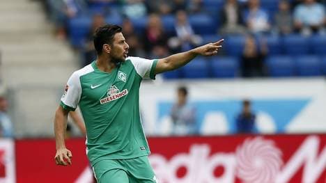 Wiesenhof ist seit 2012 Hauptsponsor bei Werder Bremen