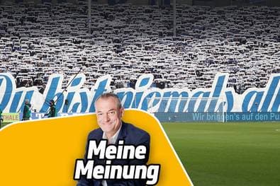 Der Lauf der Lilien ist beeindruckend