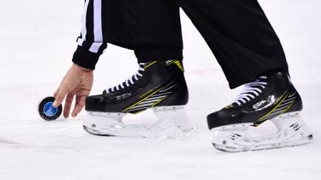 Die DEL setzt vermehrt auf Profischiedsrichter