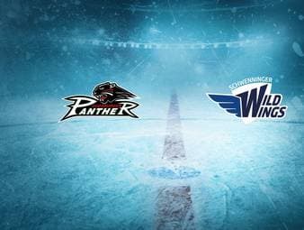 Augsburger Panther - Schwenninger Wild Wings: Tore und Highlights | PENNY DEL