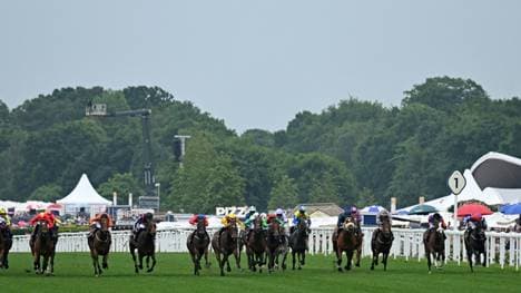 Sammarco gewinnt den Großen Dallmayr-Preis