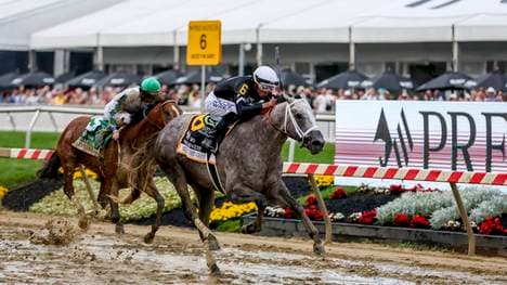 Seize the Grey gewinnt Preakness Stakes